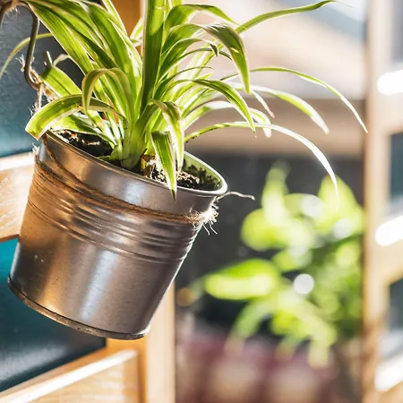 Ξενοδοχείο Les Lutins 2*